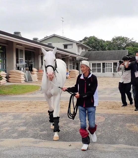 ソダシが放牧で栗東出発 定年の今浪厩務員「きれいにしようと思って一生懸命洗った」