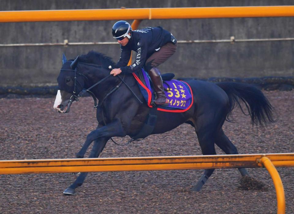 　着々と調子を上げているイクイノックス（撮影・石湯恒介）