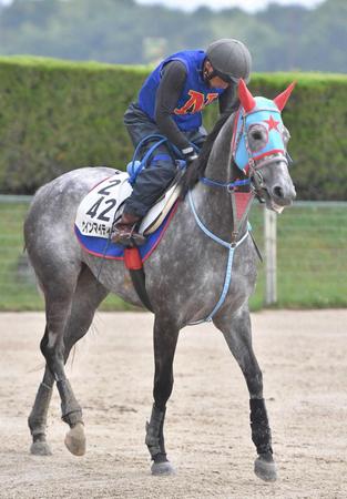 　着々と態勢を整えてきたウインマイティー