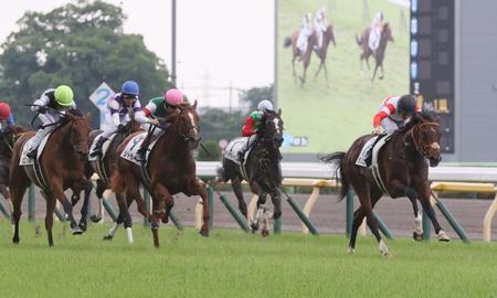 １１日の東京５Ｒ新馬を制したダノンエアズロック（右）