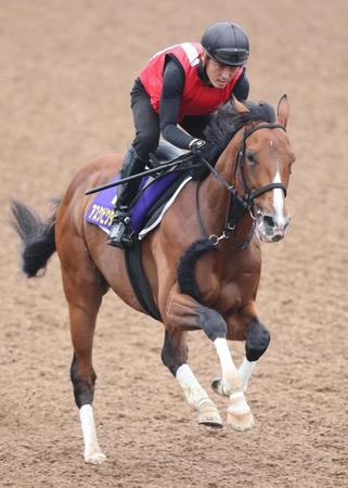 　ウッドチップコースで追われるアスクビクターモア