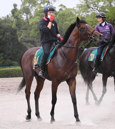 　１８日の東京でデビューするレガーロデルシエロ