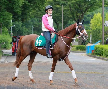 　１８日の阪神でデビューするスノーライトニング