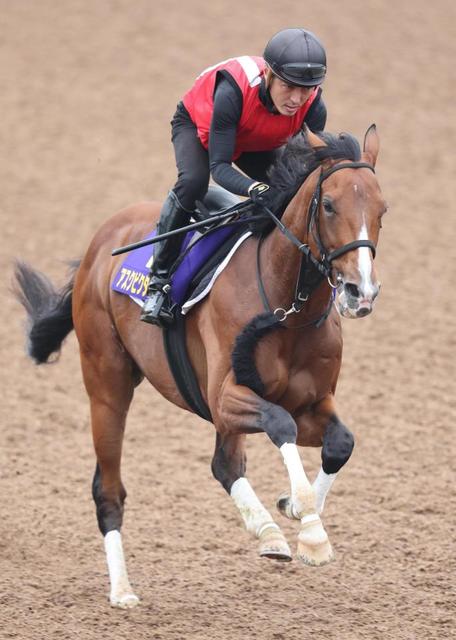 【宝塚記念】アスクビクターモア 力強い伸び脚 田村師「状態はいいと思いますよ」