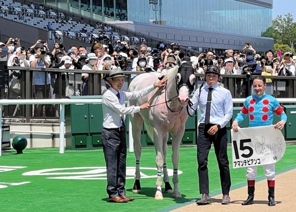 　東京６Ｒで勝利したアマンテビアンコ