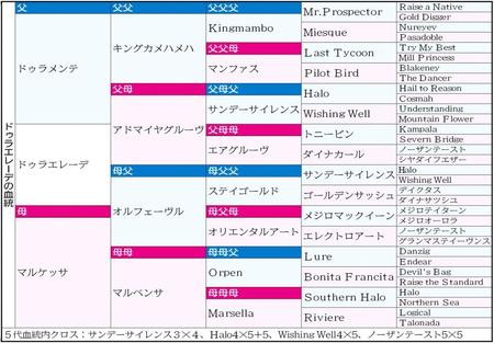 　ドゥラエレーデの５代血統表