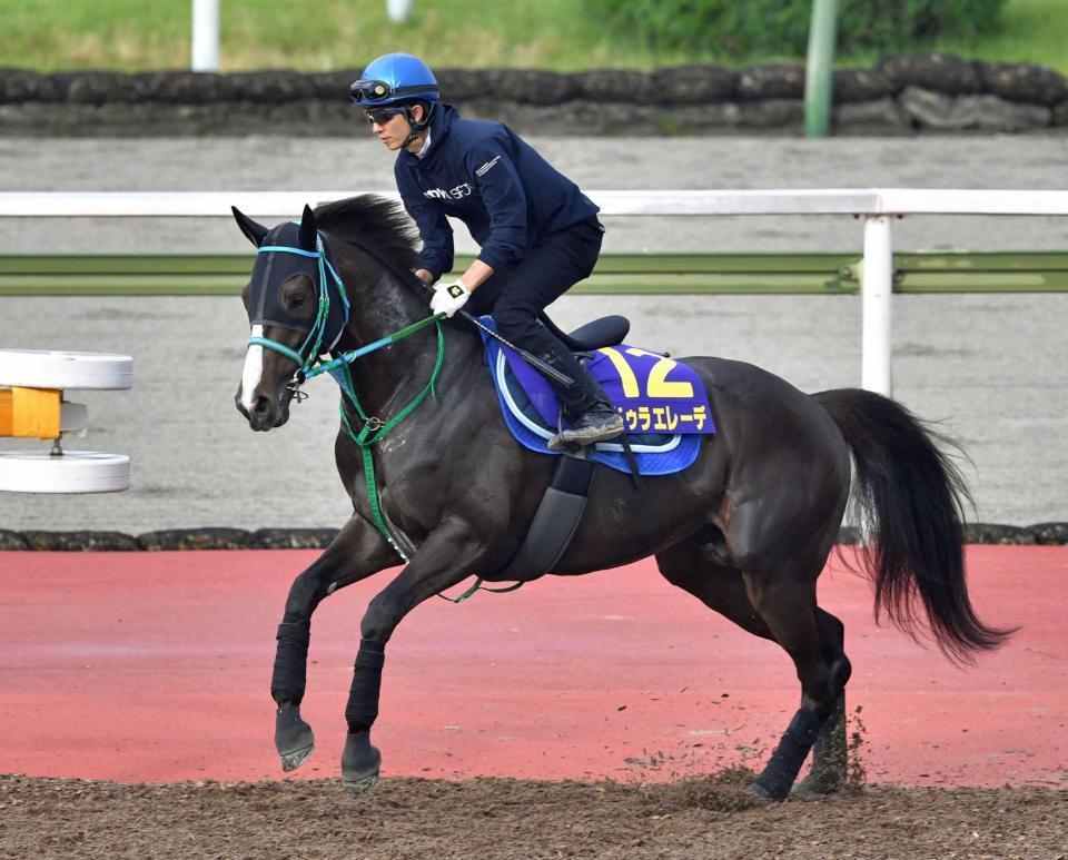 　古馬の牙城に挑む唯一の３歳馬ドゥラエレーデ