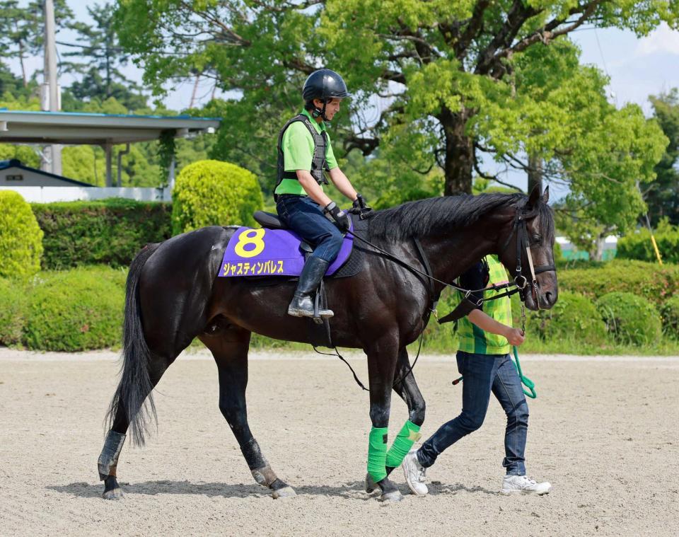 　全ての項目をクリアしたジャスティンパレス