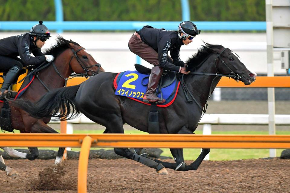 　栗東ＣＷで文句なしの走りを見せたイクイノックス（撮影・石湯恒介）