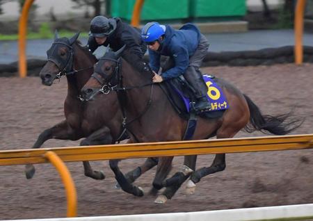 　大一番へ向けて万全の態勢を整えたジェラルディーナ（手前）＝撮影・石湯恒介