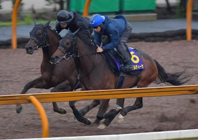【宝塚記念】ジェラルディーナ充実 ぬかるんだ馬場なんの!栗東CW軽やかに 枠順は6枠11番
