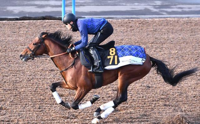 【阪神&東京の危険な人気馬】ドゥラドーレス 東京11R