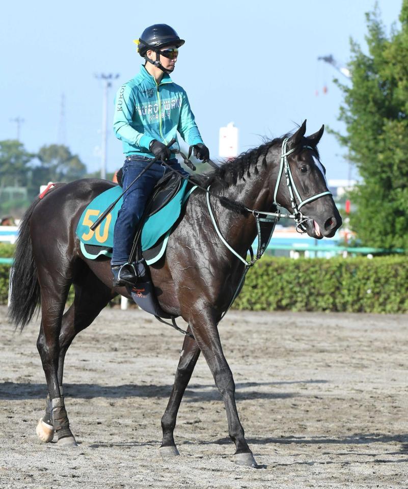 　初陣Ｖを狙うアスコリピチェーノ