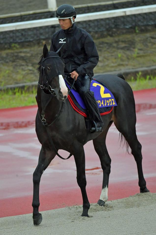 　３枠５番から発進するイクイノックス