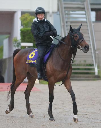 　軽めの運動で息を整えたジェラルディーナ