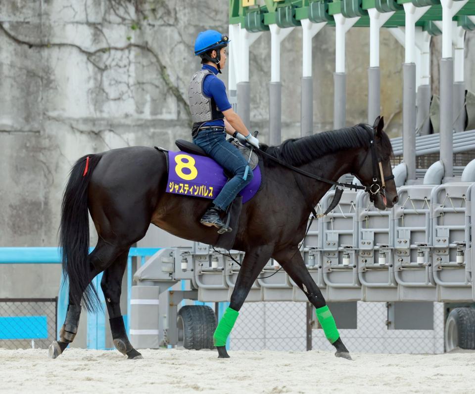 　Ｇ１連勝を目論むジャスティンパレス