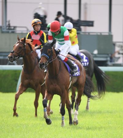 　２着に敗れたスルーセブンシーズ（撮影・石井剣太郎）