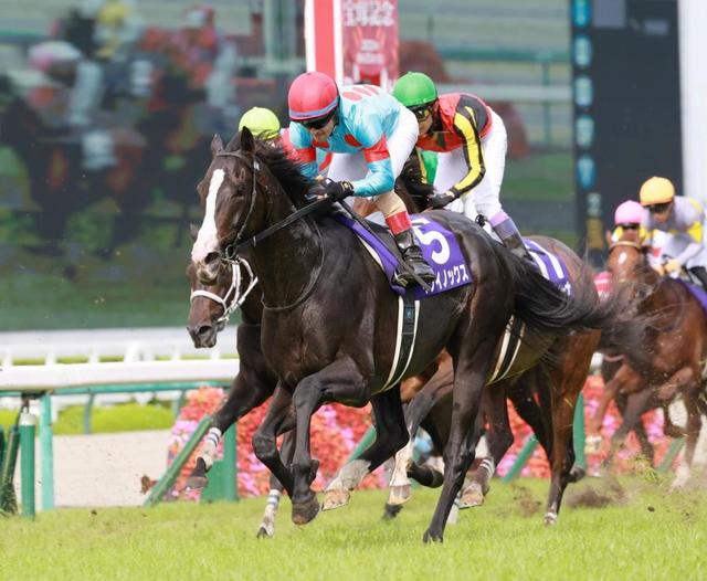 宝塚記念】イクイノックス 大外一蹴G1・4連勝 ルメール「安心