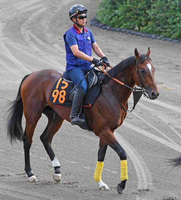 【ラジオＮＩＫＫＥＩ賞】レーベンスティール　高素質　みちのく制して秋の飛躍へ　「伸びしろがいっぱいある」