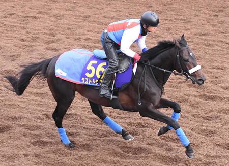 　七夕賞回避が決まったラストドラフト