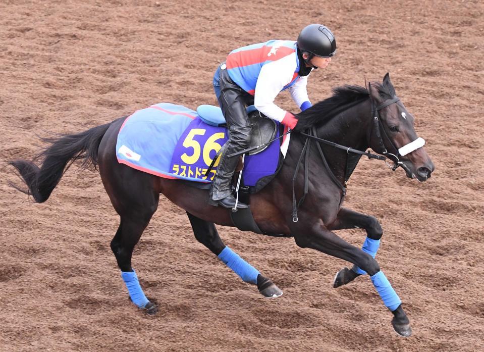 　七夕賞回避が決まったラストドラフト