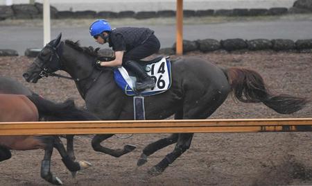 　併走遅れも上々のラップを刻んだドンフランキー（撮影・石井剣太郎）
