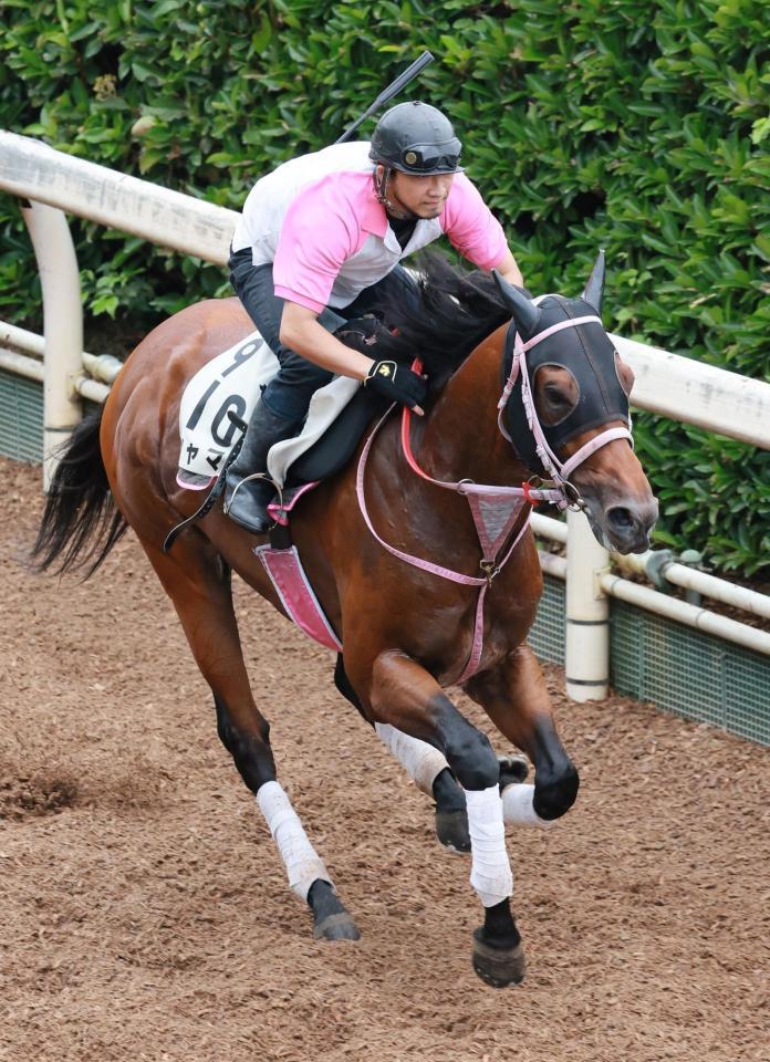 　栗東坂路２本追いで好調をアピールしたシャマル