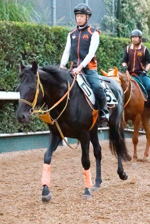 　ディアスティマ