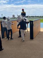 　レースを終えて引き上げてきたカルパと武豊