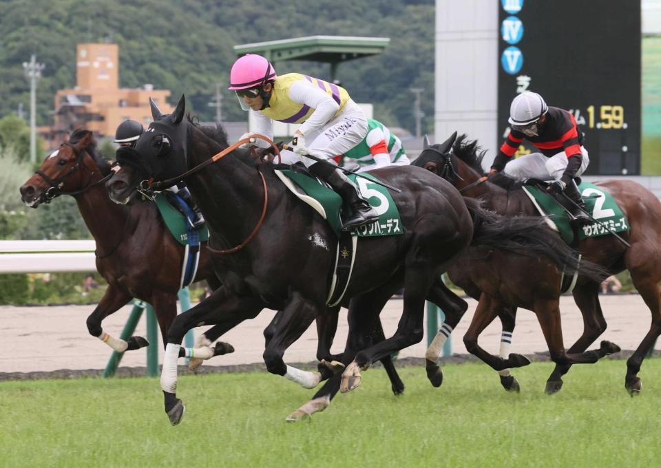 　好位から抜け出したセイウンハーデス（手前）