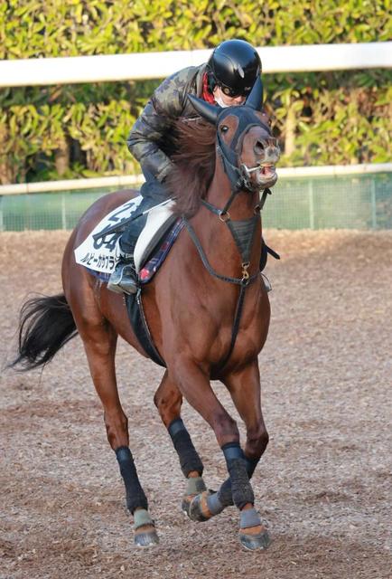 【函館記念データ解析ラボ】ルビーカサブランカ　叩き上昇　巴賞５着から戴冠へ