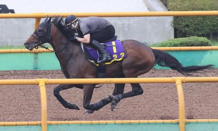 　函館Ｗで鋭い伸び脚を披露したアラタ