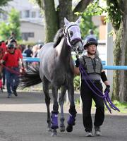 　連覇を狙う鮫島駿とコンビを組むコルルディ