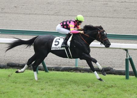 悠々と逃げ切ったミカエルパシャ