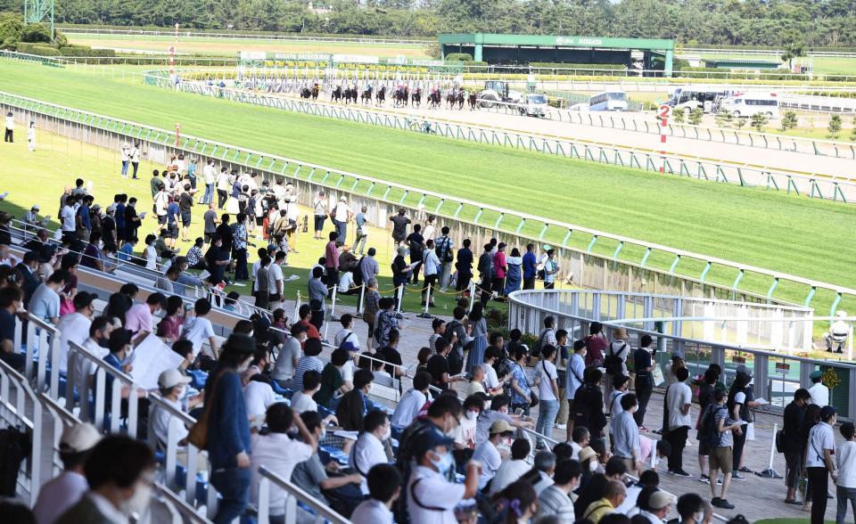 新潟 競馬 場 オファー カメラ