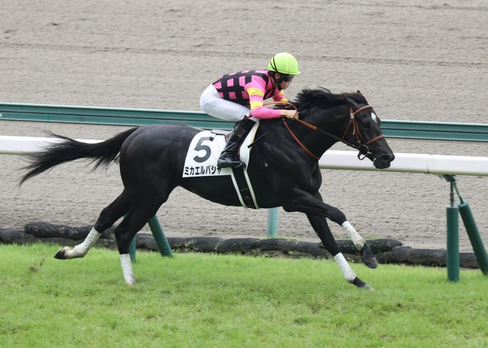 悠々と逃げ切ったミカエルパシャ