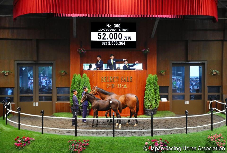 　５億２０００万円で落札されたコントレイル産駒のコンヴィクション２の２３