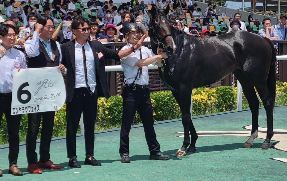 　デビュー戦を５馬身差で快勝したエンヤラヴフェイス
