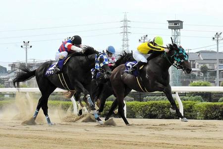 　プラチナカップを制したサヨノグローリー（右）＝撮影・持木克友