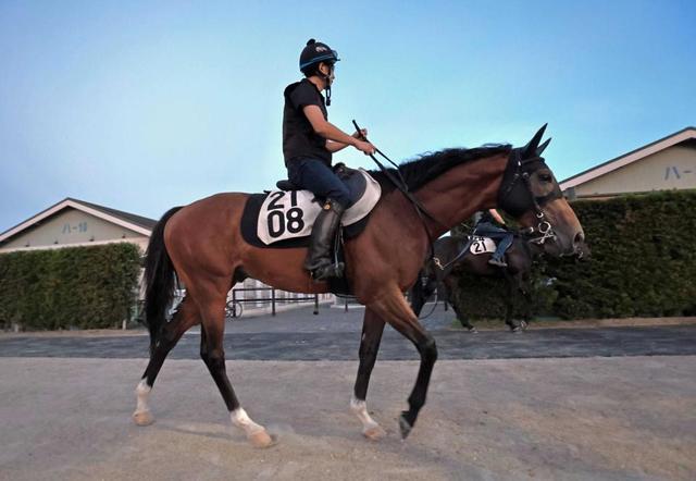 【中京記念】シンタケ激走再び　前走Ｖはフロックじゃない　破竹の勢いで夏マイル王まで突き進む