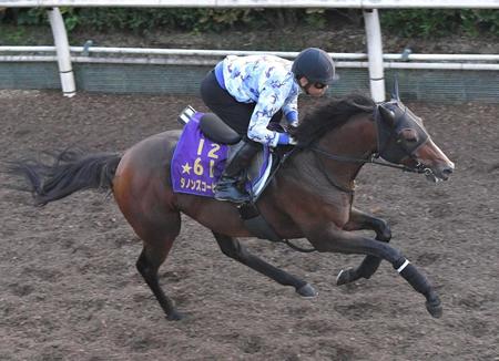 　栗東坂路で好気配を漂わせたダノンスコーピオン（撮影・石井剣太郎）