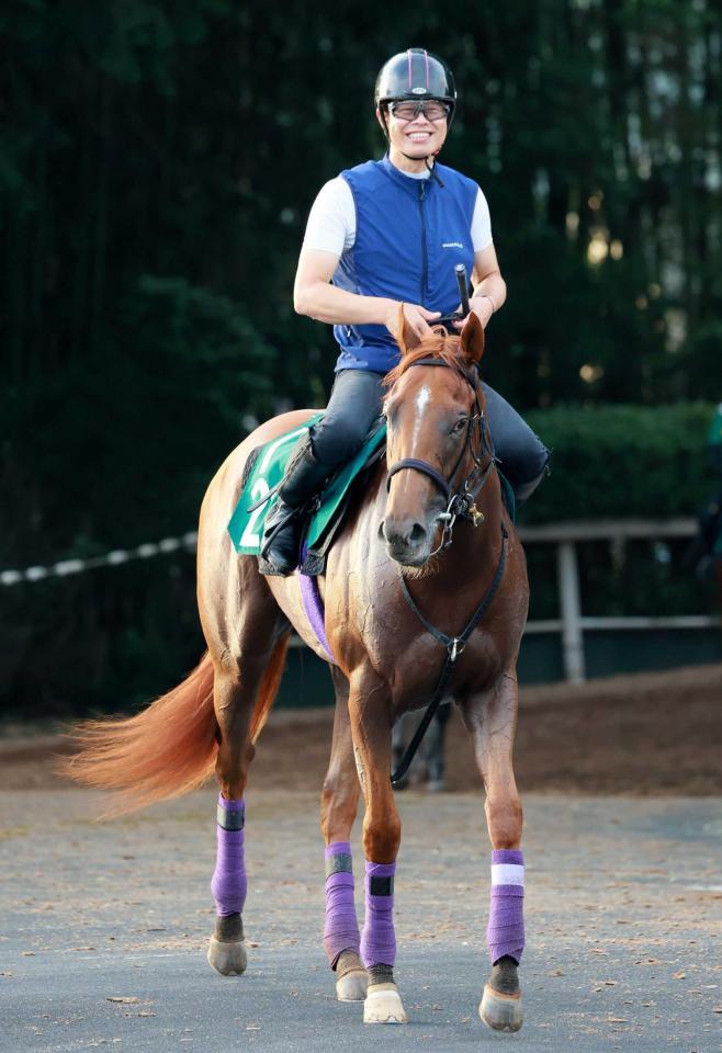 　運動するエヴァンスウィート