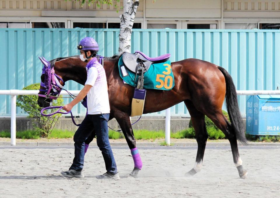 　札幌競馬場で調整するカリフォルニア