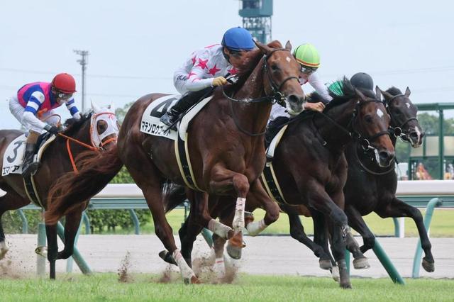 【新馬戦】マテンロウゴールド　中団追走から差し切りＶ　新種牡馬レイデオロ産駒初勝利