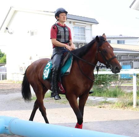 　函館競馬場で調整が進められているアークドール