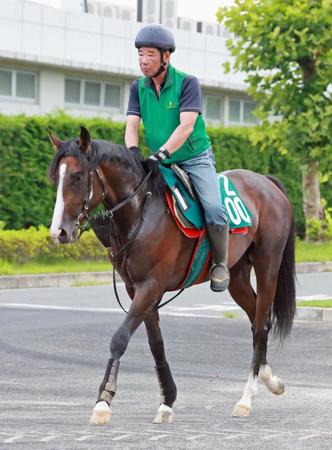 【新馬戦】ミッキースターダム　良血馬＆態勢万全　伯母はＧI７勝のジェンティルドンナ