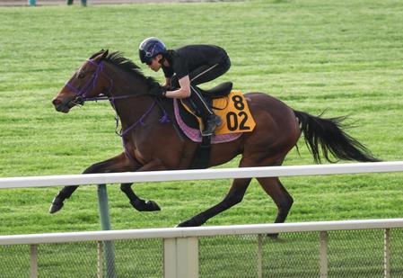 　札幌芝で三浦を背に追われるジネストラ