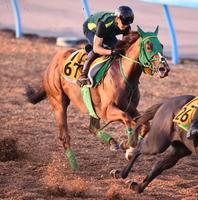 　元気いっぱいに駆け抜けたトキメキ（撮影・園田高夫）