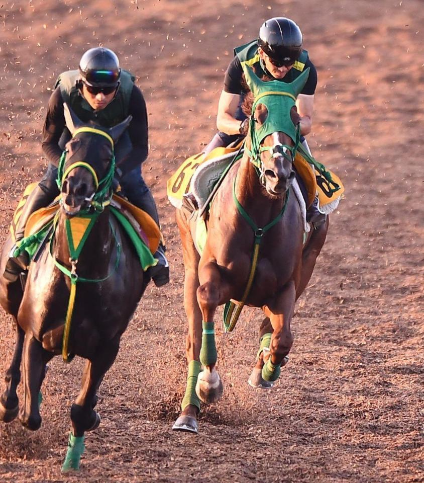 　美穂Ｗ併せで追い切ったトキメキ（右）＝撮影・園田高夫