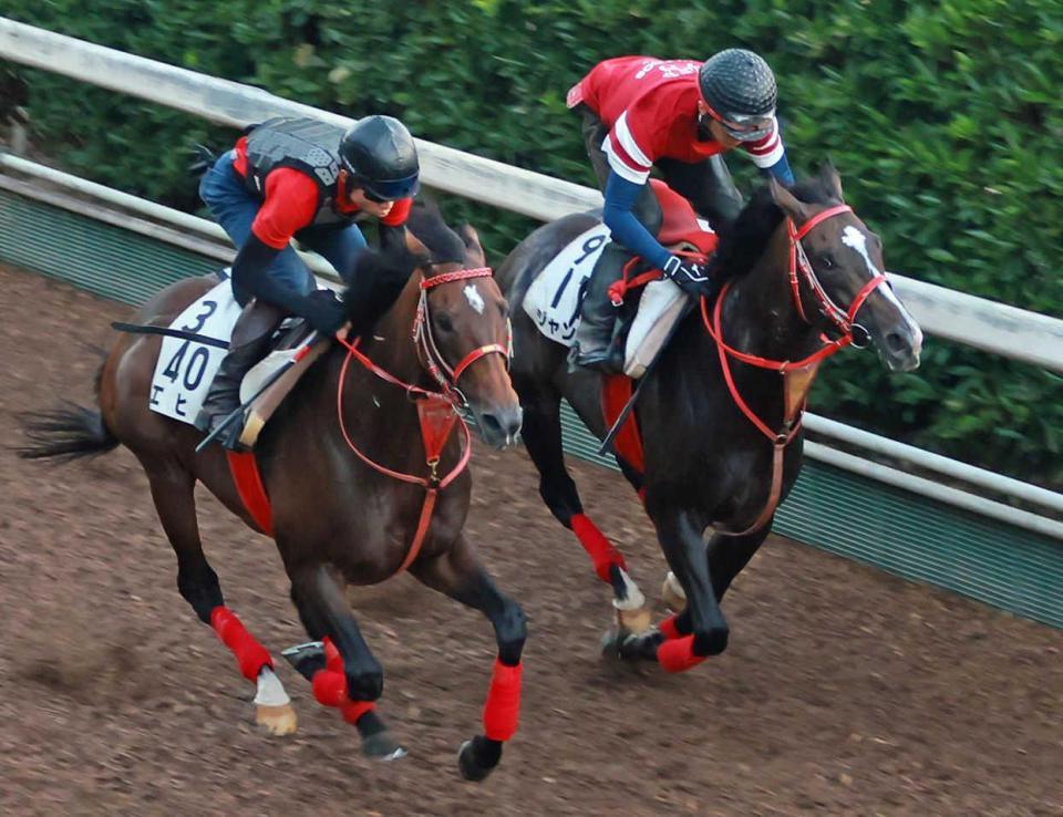 　きっちり併入に持ち込んだジャングロ（右）＝撮影・石湯恒介